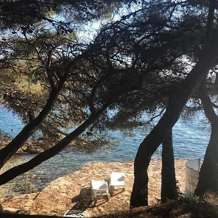 Franko Apartment Porec
